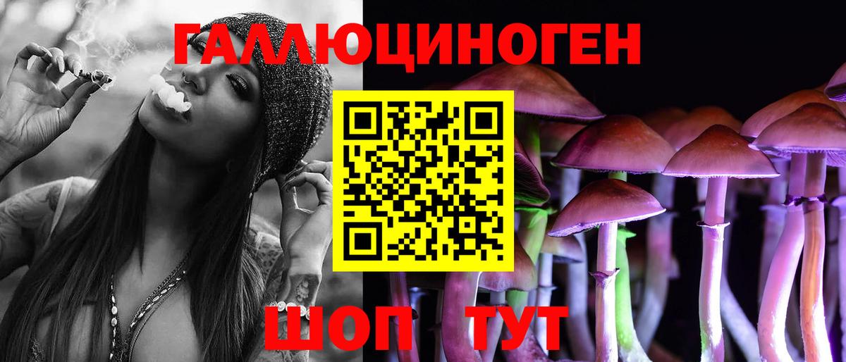 магазин продажи   Вход с VPN  Алатырь  Галлюциногенные грибы MAGIC MUSHROOMS 