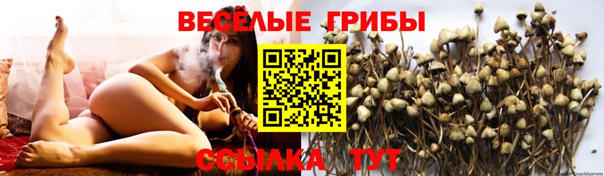 Псилоцибиновые грибы ЛСД Алатырь